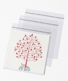 10 Postcard Bags | 150x150mm