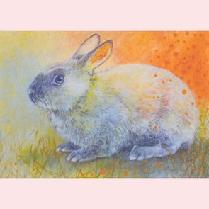 Postcard Loes Botman | Dierenvrienden 8