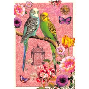 PK 383 Tausendschön Postcard | Adriana Sanmartin "Wellensittiche"