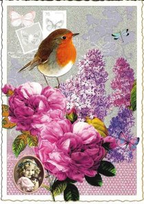 PK 411 Tausendschön Postcard | Adriana Sanmartin 