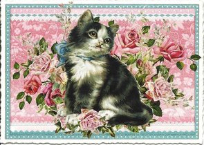 PK 191 Tausendschön Postcard | Behr Design "Stubentiger"