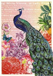 PK 483 Tausendschön Postcard | Peacock