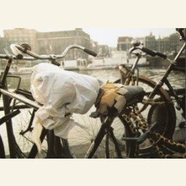 Postcard | Firm in the saddle