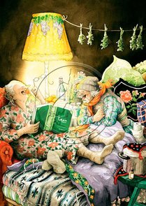 Inge Look Nr. 21 Postcard | Old Ladies Aunties