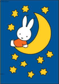 Nijntje Miffy Postkarte | Nijntje op de maan