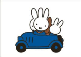 Nijntje Miffy Postcards | Familie Pluis