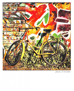 Pola Holland Postcard | Amsterdamse fiets
