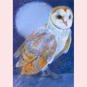 Postcard Loes Botman | Dierenvrienden 5 - Kerkuil