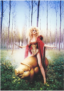 Fotofolio Postcard | Hunting for Truffles, 1996