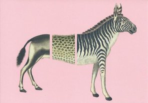 Museum Cards Postcard | Robert Jacob Gordon