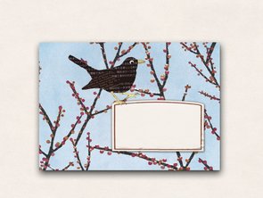 10 x Envelope TikiOno | Ilex 