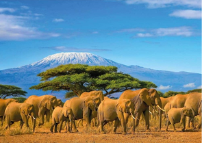 Postcard Tushita | The Big Move