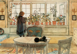 Postcard | The Flower Window