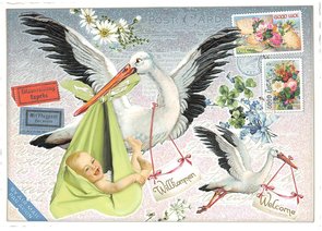 PK 688 Tausendschön Postcard | Welcome Baby