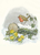 Postcard Molly Brett | Winter robin