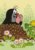 Postcard Krtek - Der kleine Maulwurf - the little mole looks out of molehills