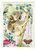PK 986 Tausendschön Postcard | Koala