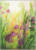 Postcard | Meadow whispers