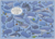 Search Postcard | Wo ist der Wal mit dem Schwimmreifen und wo schwimmen die drei Quallen?