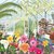 Sabina Comizzi Postcard | Spring Greenhouse