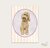 Postcard Labradoodle - Appeloogje