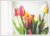 Postcard | Tulips at the window