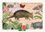 PK 1265 Tausendschön Postcard - armadillo