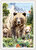 PK 1319 Tausendschön Postcard - Bear