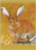 Postcard Loes Botman | Rabbit II