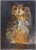 Postcard Loes Botman | Long-eared owl