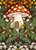 Ansichtkaart Belle and Boo | Mushroom House