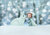 PRE-ORDER Postcard Ila Illustrations 254 - Snow buddy