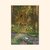 Asia Spettel A6 Postcard - the enchanted forest