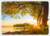 Postcard | Summer evening on the shore