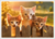 Postcard | Kitten friendship