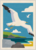 Postcard | Seagull flight