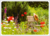 Postcard | favorite spot in the summer garden