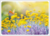 Postcard | Summer flowers (butterflies and santolina)