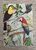Wildgardens Postcard - Birds of Paradise