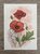 Wildgardens Postcard - Poppy