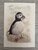 Wildgardens Postcard - Puffin