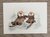 Wildgardens Postcard - Otters