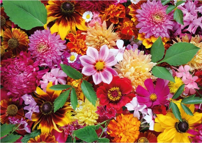 Postcard Tushita | Autumn Flowers