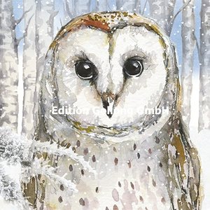 Carola Pabst Postcard Christmas | Wintery Owl
