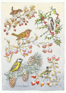 Postcard Molly Brett | Five different birds on five different branches