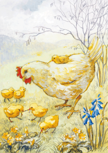 Postcard Eileen Chandler | Hen and Chicks
