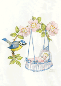 Postcard Molly Brett | New Baby and Blue Tit