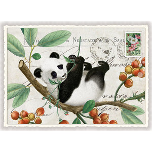 PK 794 Tausendschön Postcard | PANDA