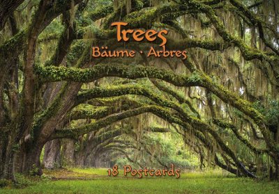 Tushita Postcard Book | Trees