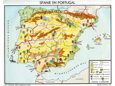 Postcard | Spanje